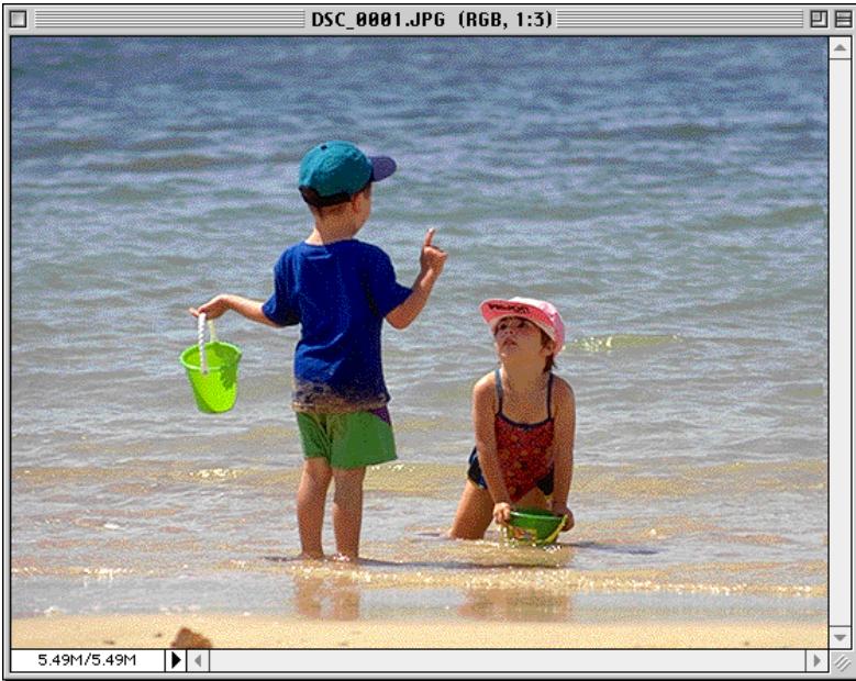 NIKON VIEW DX - Ouverture d'images selectionnées dans le dossier des images - 2