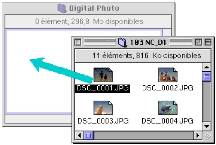 NIKON VIEW DX - Copie d'images sur disque - 1