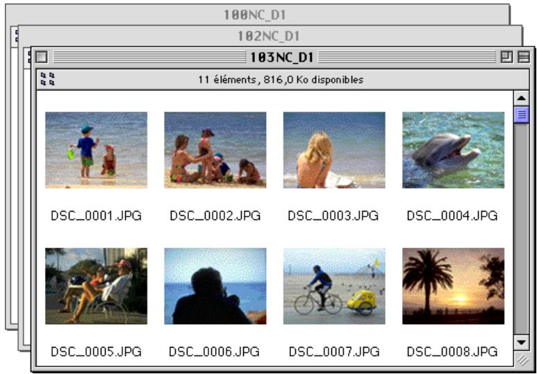 NIKON VIEW DX - Exploration des images de l'ordinateil photo - 2
