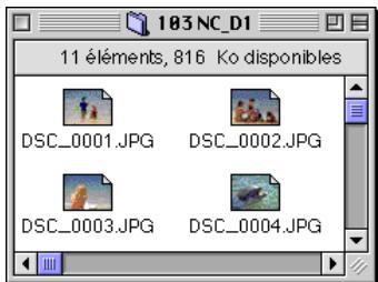 NIKON VIEW DX - Ouverture d'images selectionnées dans le dossier des images - 1