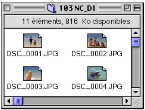 NIKON VIEW DX - Nom des dossiers - 1