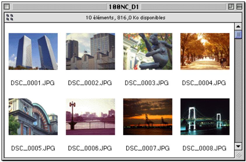 NIKON VIEW DX - Astuces - 2