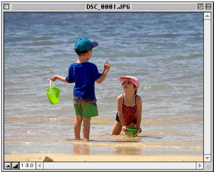 NIKON VIEW DX - Visualisation des images à l'aide de l'afficheur intégré - 4