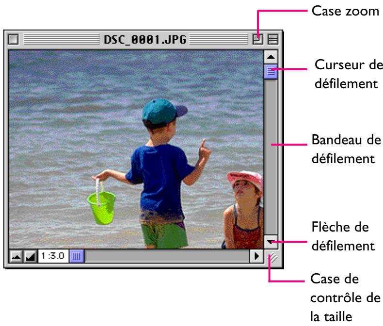 NIKON VIEW DX - Défilament et redimensionnement des fenêtres d'image - 1
