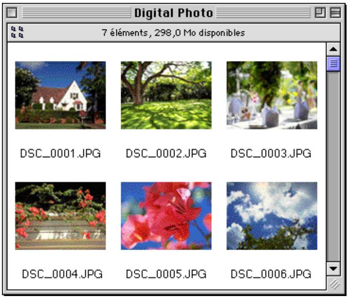 NIKON VIEW DX - Astuces - 1
