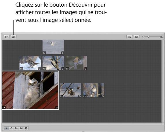 APPLE APERTURE 2 - Pour ranger automatiquement des images sur la table lumineuse : - 2