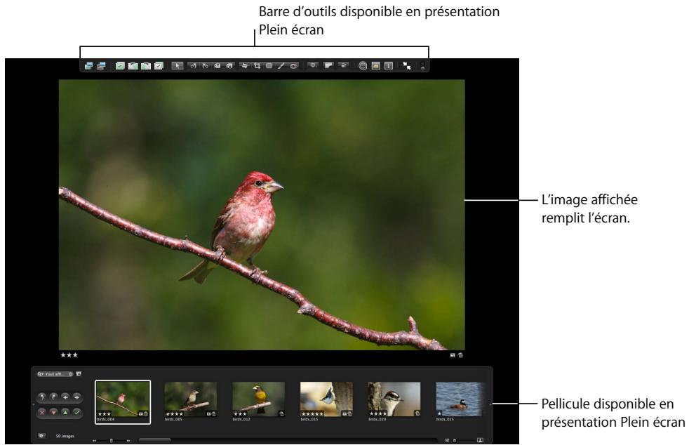 APPLE APERTURE 2 - Vue d'ensemble de la présentation plein écran - 1