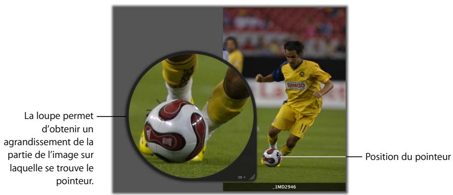 APPLE APERTURE 2 - Utilisation du pointeur pour agrandir certaines parties d'une image - 1