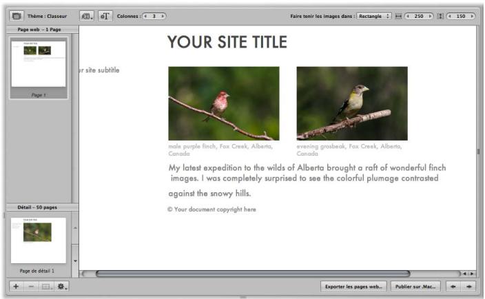 APPLE APERTURE 2 - Journaux web - 1