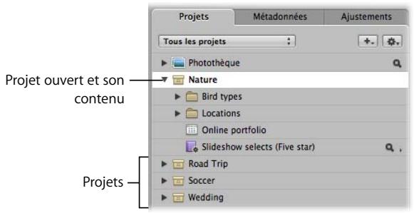 APPLE APERTURE 2 - Définition des projets - 1