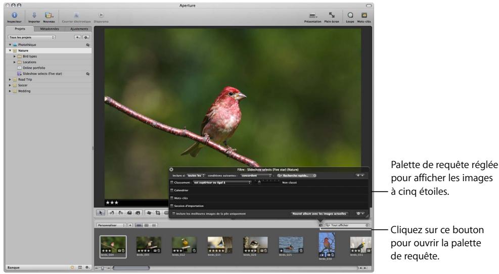APPLE APERTURE 2 - Recherche et affichage d'images à l'aide de la palette de requête - 1
