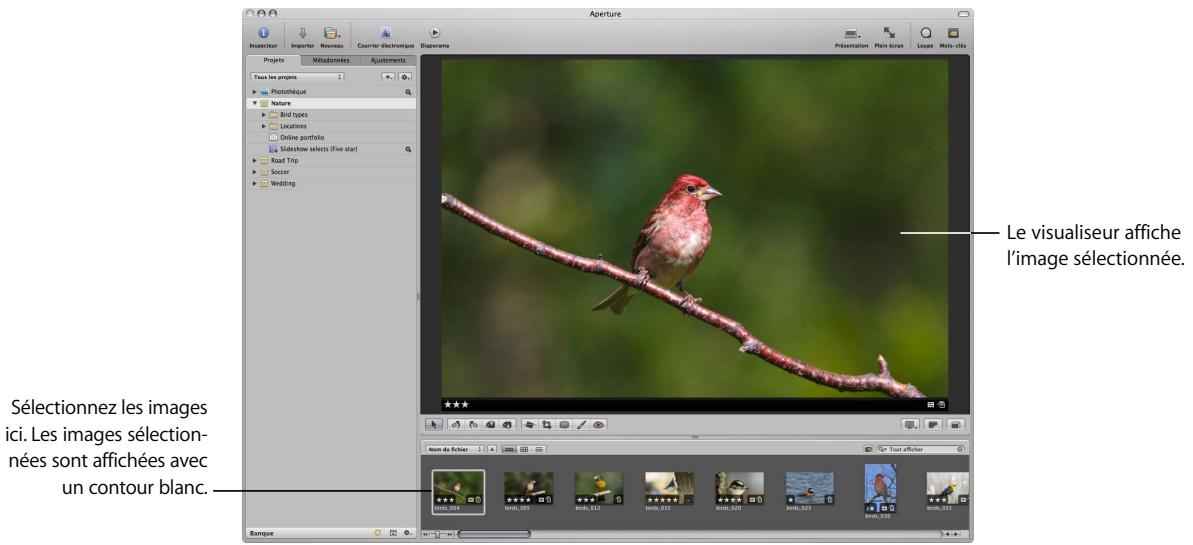 APPLE APERTURE 2 - Affichage et manipulation d'images - 1