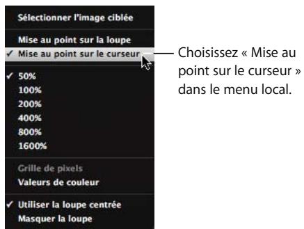 APPLE APERTURE 2 - Pour agrandir certaines parties d'une image à l'aide du pointeur : - 1
