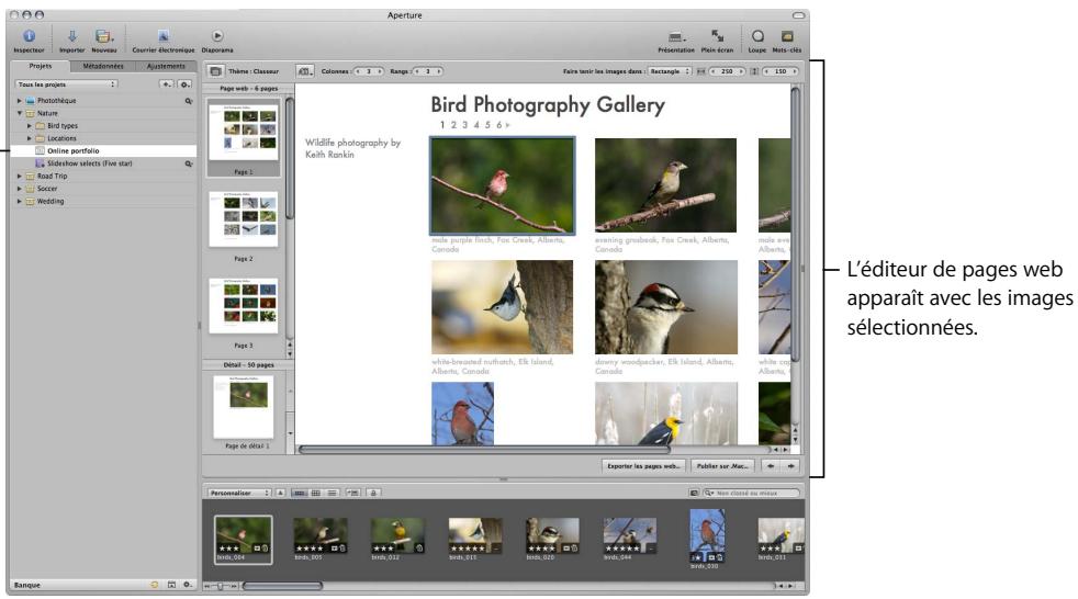 APPLE APERTURE 2 - Publication de vos images dans des pages et des journaux web - 2