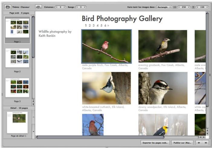 APPLE APERTURE 2 - Publication de vos images dans des pages et des journaux web - 1