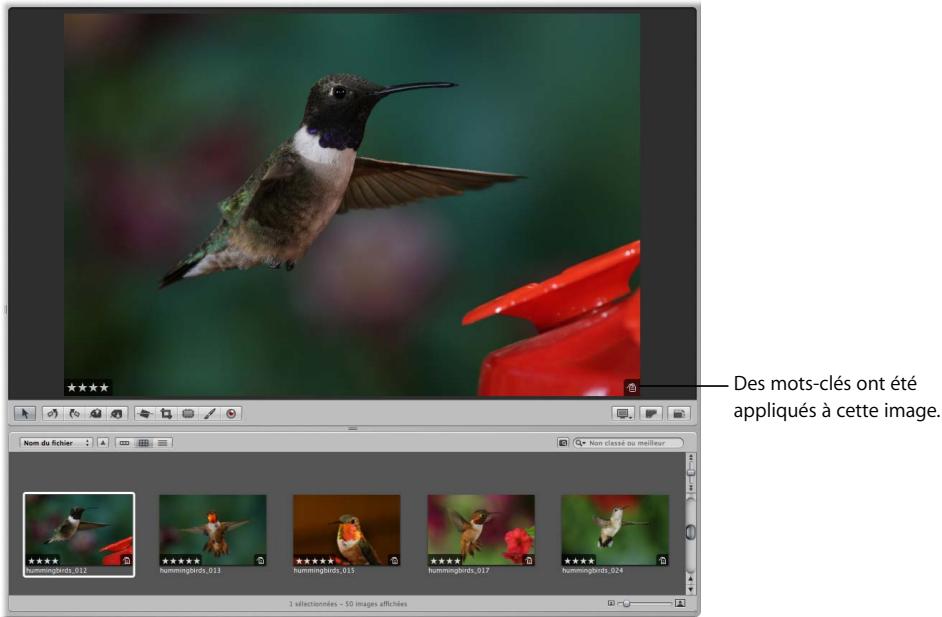 APPLE APERTURE 2 - Compréhension des incrustations de carte d'identification - 1