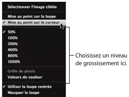 APPLE APERTURE 2 - Modification de la taille et du grossissement de la loupe - 1