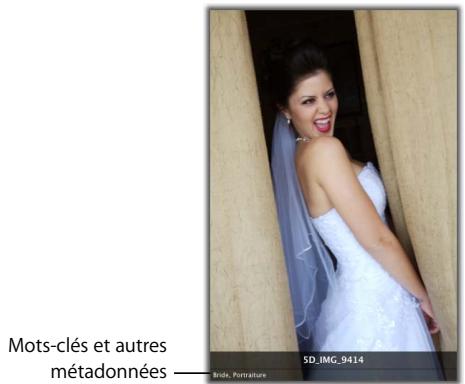 APPLE APERTURE 2 - Attribution de mots-clés aux images - 1