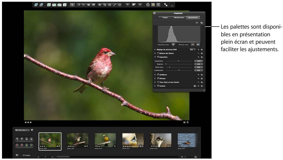 APPLE APERTURE 2 - Utilisation des palettes en présentation plein écran - 1