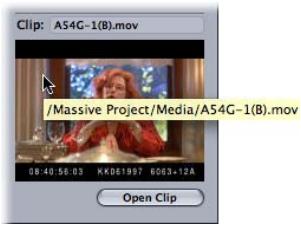 APPLE CINEMA TOOLS 4 - Fenêtre Detail View - 2