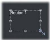 APPLE DVD STUDIO PRO 4 - Pour créer et modifier la zone active d'un bouton : - 1