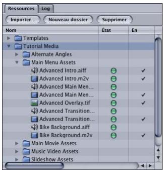 APPLE DVD STUDIO PRO 4 - Onglet Ressources - 1