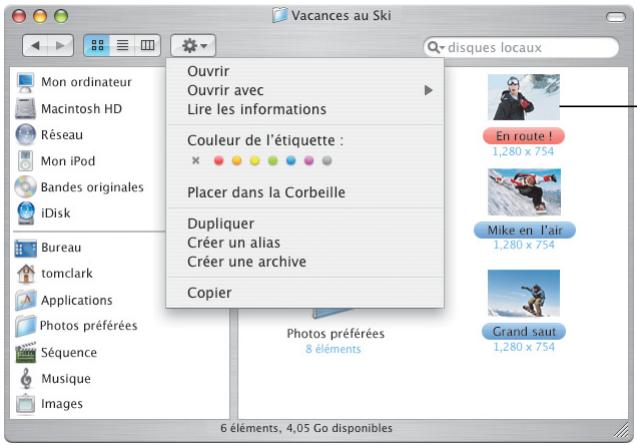 APPLE PANTHER - Actions - 1