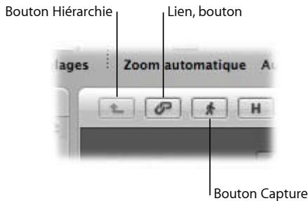 APPLE LOGIC PRO 8 - Boutons Capture, Lien et Hierarchie - 1