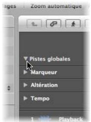 APPLE LOGIC PRO 8 - Pour masquer ou afficher des pistes globales, procédez de l'une des manières suivantes : - 1