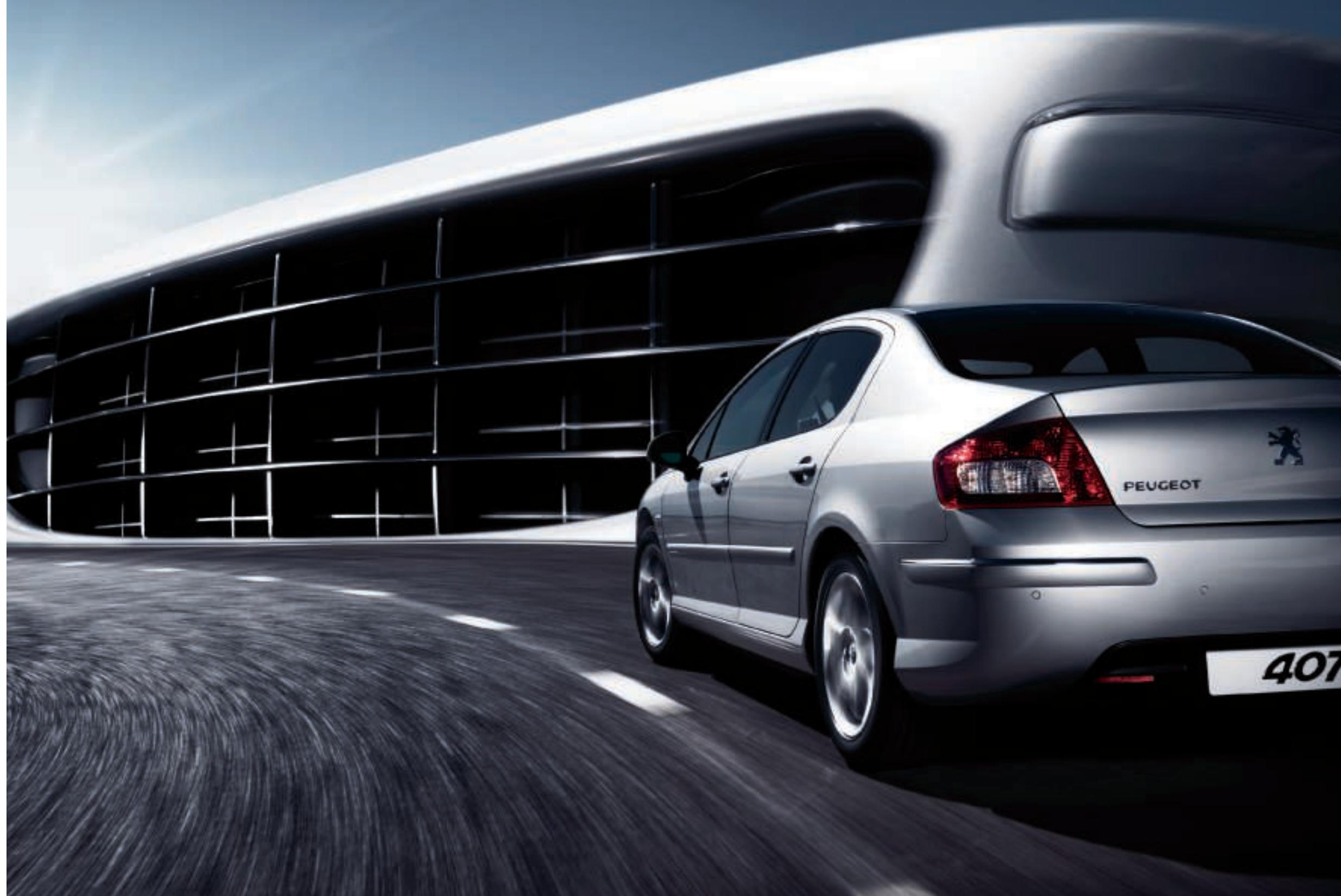 PEUGEOT 407 SW - 1