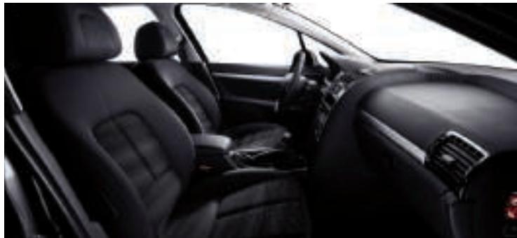 PEUGEOT 407 SW - TEINTES OPAQUES - 8