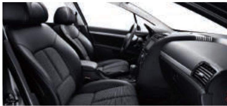 PEUGEOT 407 SW - TEINTES OPAQUES - 11