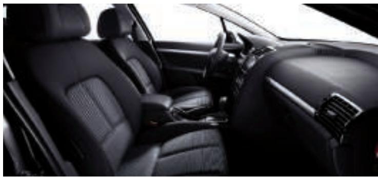 PEUGEOT 407 SW - TEINTES OPAQUES - 10