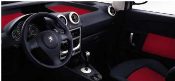 PEUGEOT 1007 - CAMELEO - 7