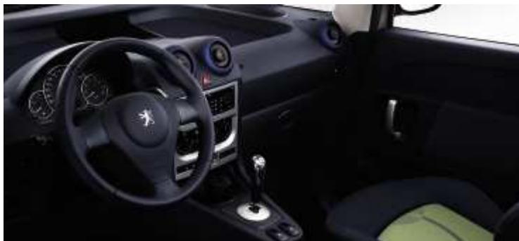 PEUGEOT 1007 - CAMELEO - 10
