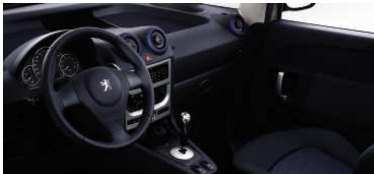 PEUGEOT 1007 - CAMELEO - 9