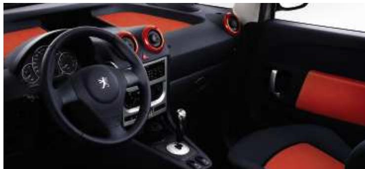 PEUGEOT 1007 - CAMELEO - 5