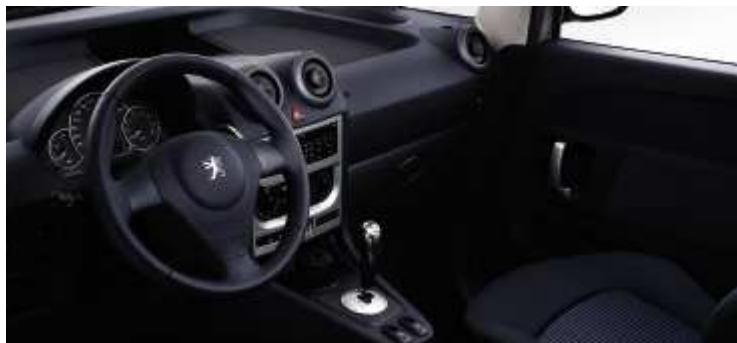 PEUGEOT 1007 - CAMELEO - 6