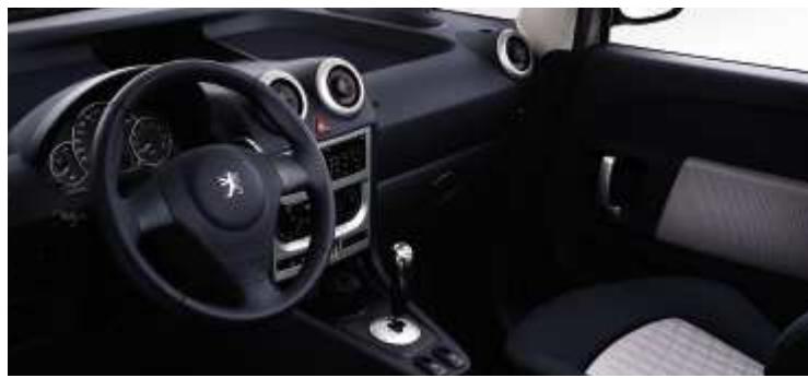 PEUGEOT 1007 - CAMELEO - 1