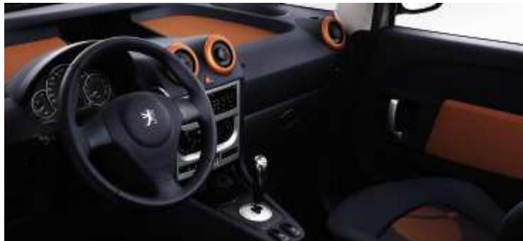 PEUGEOT 1007 - CAMELEO - 4