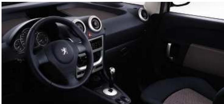 PEUGEOT 1007 - CAMELEO - 8