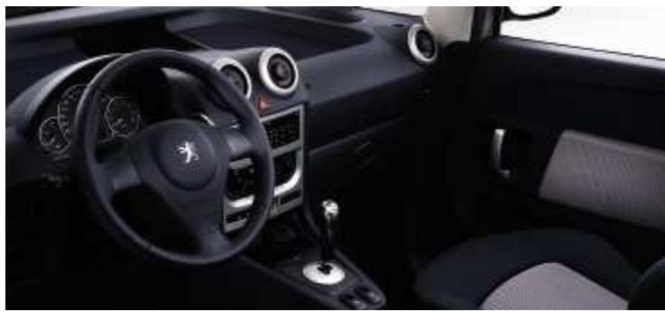PEUGEOT 1007 - CAMELEO - 2