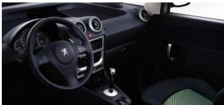 PEUGEOT 1007 - CAMELEO - 11