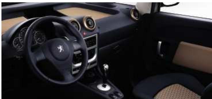 PEUGEOT 1007 - CAMELEO - 12