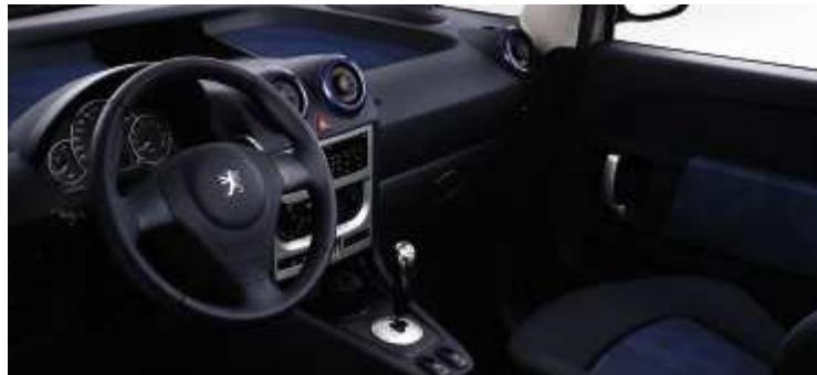 PEUGEOT 1007 - CAMELEO - 3