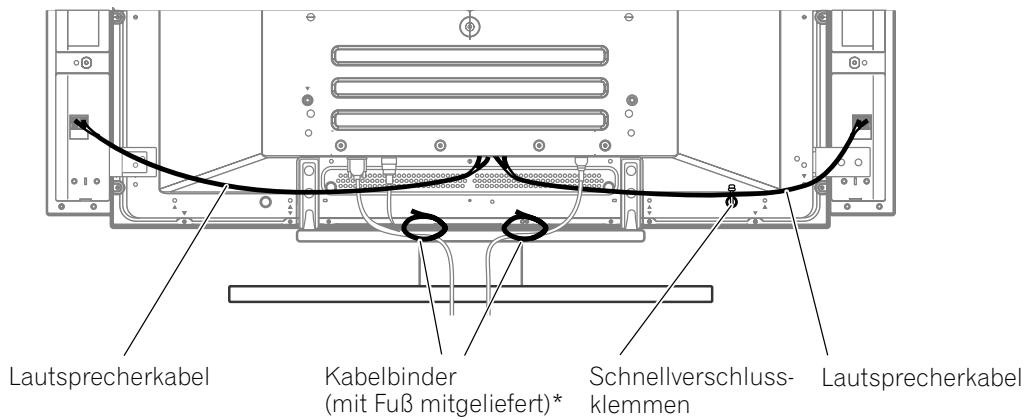 PIONEER PDP-434HDE - Verlegen von Kabeln - 1