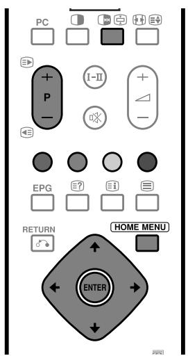 PIONEER PDP-434HDE - Lancement de la page initiale Home Gallery - 1