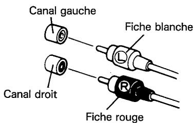 PIONEER F-301RDS - Cordon de connexion à fiche à broche - 1