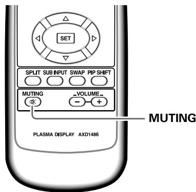 PIONEER PDA-5003 - Stummschaltung - 1