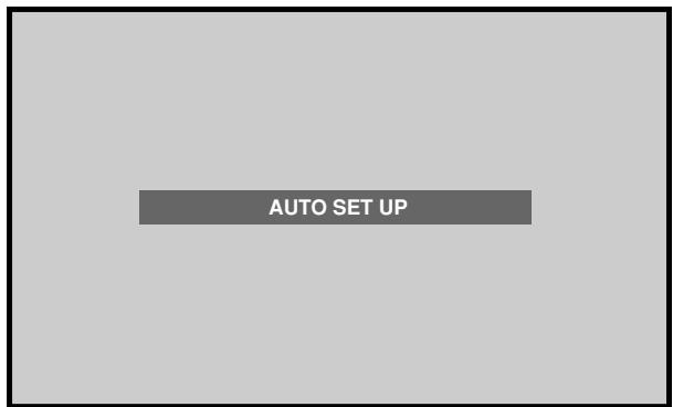 PIONEER PDA-5003 - Press the AUTO SET UP button on either the display or remote control unit. - 1